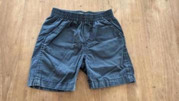Short filou & friends 2 jaar beschikbaar voor biedingen