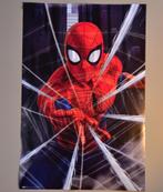 Poster Spiderman, Ophalen of Verzenden, Zo goed als nieuw