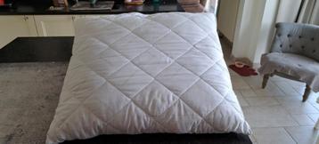 Hoofdkussens 2 x   60 x 63/70 cm beschikbaar voor biedingen