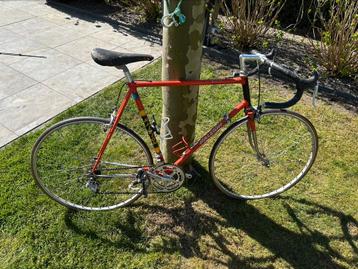 Raleigh racefies beschikbaar voor biedingen
