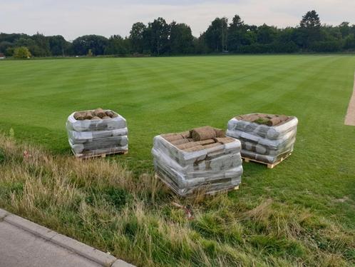 pelouse en rouleaux avec pose, Tuin en Terras, Gras en Kunstgras, Nieuw, Gras, 20 m² of meer, Ophalen