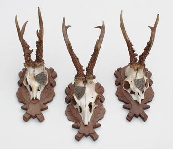3 x groot REE GEWEI met jacht medaille op houten schild beschikbaar voor biedingen