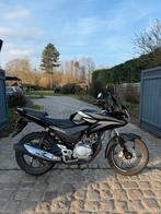 Honda CBF 125 @AelbrechtMotors, Entreprise