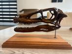 Velociraptor replica schedel / dinosaurus, Verzamelen, Mineralen en Fossielen, Ophalen of Verzenden