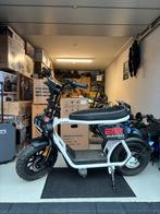 Coopop 22 Rugged E-Cruiser E-Scooter IN 5 KLEUREN NIEUW !, Overige modellen, Elektrisch, Nieuw, Ophalen of Verzenden