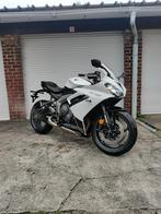 daytona 660, Motoren, 3 cilinders, Sport, Meer dan 35 kW, 660 cc