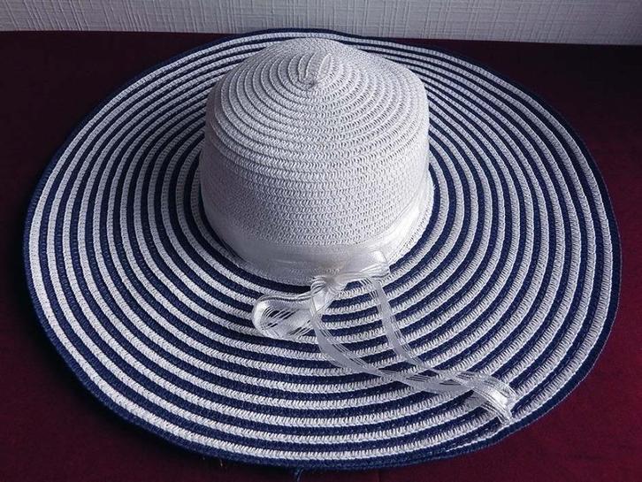Strohoed of Zonnehoed met Brede Rand., Kleding | Dames, Hoeden en Petten, Nieuw, Hoed, 56 of 57 cm (M, 7 of 7⅛ inch), Ophalen