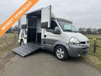 Renault Master MTM 2-paards paardenvrachtwagen MARGE Automaa, Dieren en Toebehoren, Gebruikt, Overige typen