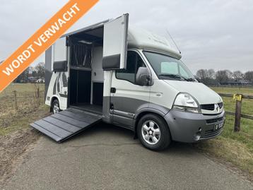 Renault Master MTM 2-paards paardenvrachtwagen MARGE Automaa beschikbaar voor biedingen