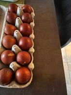 Marans broedeieren, Plusieurs animaux, Poule ou poulet