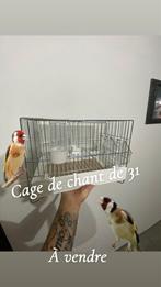 Kooien voor kanaries of distelvinken, Dieren en Toebehoren, Ophalen, Zo goed als nieuw, Overige materialen, Vogelkooi