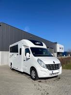 STX 2-horse - NIEUWE BODEM, Animaux & Accessoires, Chevaux & Poneys | Semi-remorques & Remorques, Enlèvement, Utilisé, Remorque 2 chevaux
