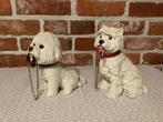 DOG STUDIES LEONARDO COLLECTION / TERRIER OF BICHON FRISE, Ophalen, Gebruikt