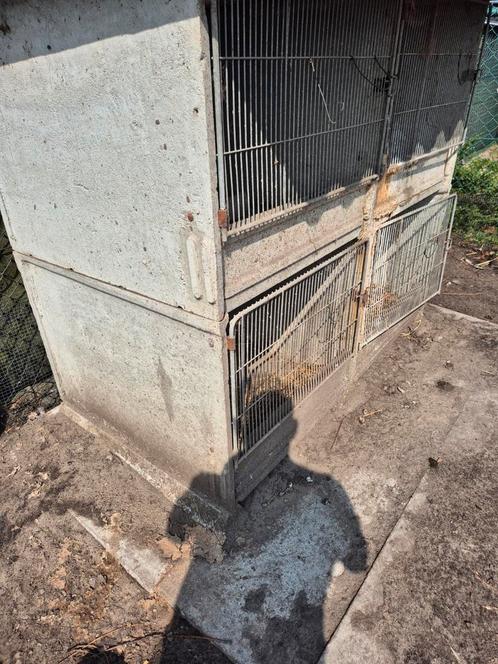 Konijnenhokken beton, Dieren en Toebehoren, Knaagdieren en Konijnen | Hokken en Kooien, Zo goed als nieuw, Hok, Ophalen of Verzenden