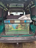 Terrarium, Enlèvement