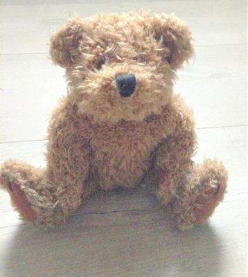 Leuk beertje beschikbaar voor biedingen