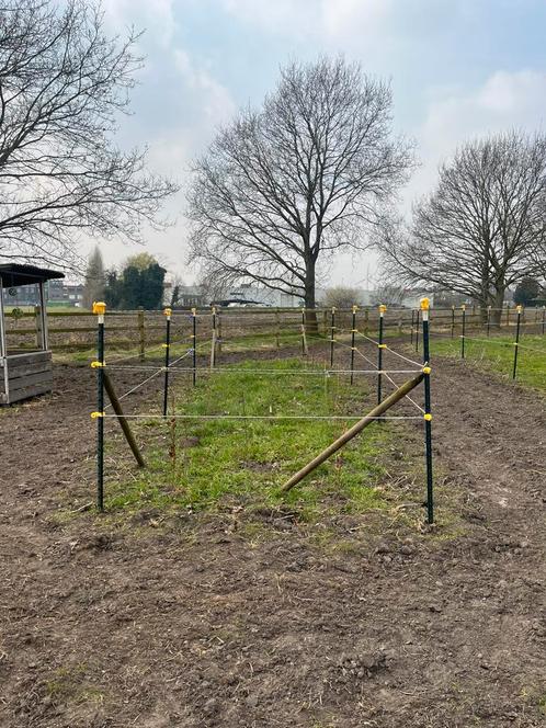 Plaats op paddock paradise in Rumst, Dieren en Toebehoren, Stalling en Weidegang, Stalling, Weidegang, 1 paard of pony