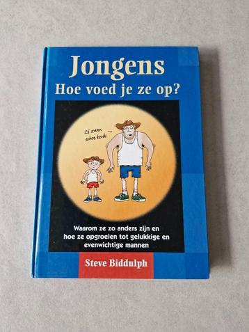 Jongens - Hoe voed je ze op? - Steve Biddulph beschikbaar voor biedingen