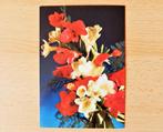 Retro ansichtkaart postkaart uit Nederland met bloemen op, Ongelopen, Ophalen of Verzenden, 1980 tot heden