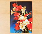 Retro ongelopen ansichtkaart kaart uit Nederland met bloemen, Ophalen of Verzenden, 1980 tot heden, Ongelopen