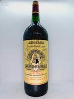 Château Angelus 1993 (Magnum), Collections, Vins, Comme neuf, Enlèvement ou Envoi