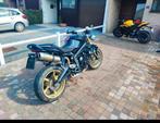 Straat Triple 675, Motoren, 3 cilinders, Particulier, Meer dan 35 kW, Naked bike