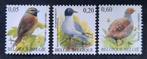 Belgique : COB 3379/81 ** Oiseaux 2005., Neuf, Sans timbre, Timbre-poste, Enlèvement ou Envoi