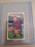 Geen Panini (FC Barcelona)