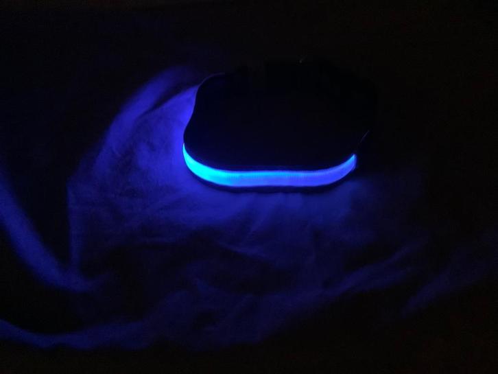 Honden halsband, LED verlichting, USB oplaadbare halsband, Dieren en Toebehoren, Hondenhalsbanden en Penningen, Nieuw, Verlicht