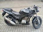 Dealim 125cc Naked Bike, Motos, Motos | Yamaha, Particulier, Naked bike