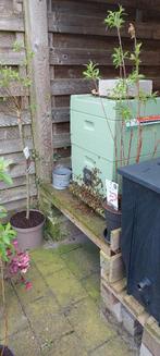 Volwaardig bijenvolk, Bijen