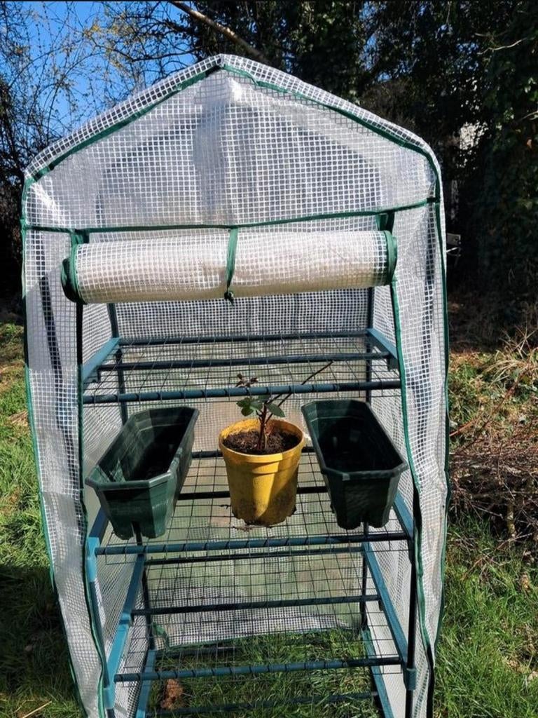 Serre, Ophalen, Kweekkas