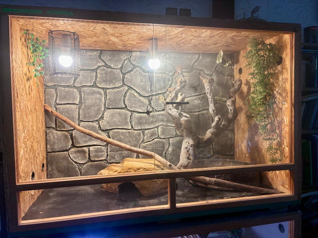 Grand terrarium serpent, Animaux & Accessoires, Reptiles & Amphibiens | Accessoires, Utilisé, Terrarium ou Paludarium, Enlèvement