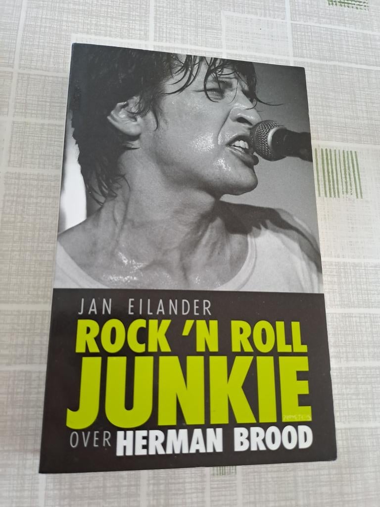Rock 'n roll junkie over Herman Brood, Boeken, Ophalen of Verzenden, Jan Eilander