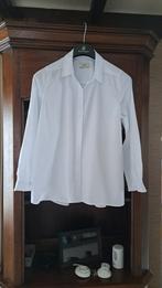 witte hemdsbloes vh merk  Zizzi  zie opgemeten maten, Kleding | Dames, Blouses en Tunieken, Zizzi, Wit, Maat 42/44 (L), Ophalen of Verzenden