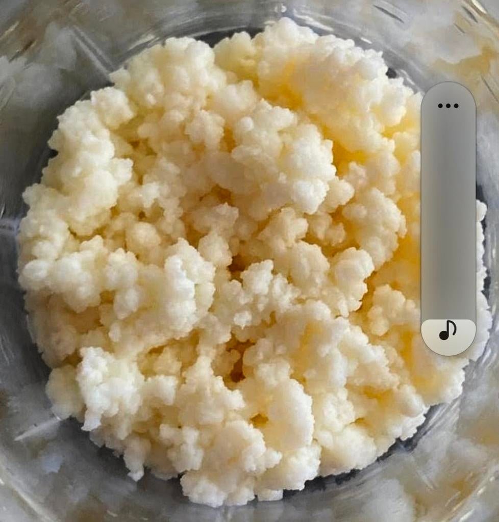 Melk kefir bloemen 40 gr, Ophalen