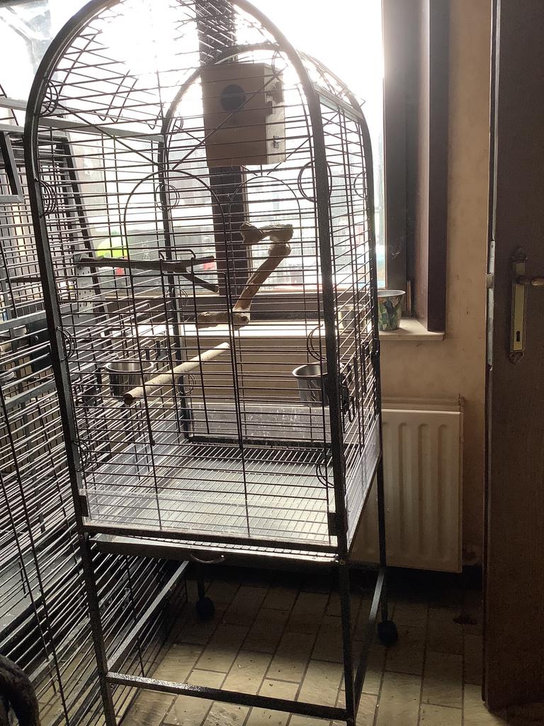 Vogelkooi, Animaux & Accessoires, Oiseaux | Cages & Volières, Enlèvement, Utilisé, Cage à oiseaux
