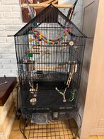 Cage pour oiseau a vendre, Enlèvement, Comme neuf