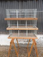 Duiven kwartel kooien, Dieren en Toebehoren, Pluimvee, Overige soorten