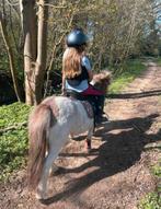Hele leuke shetlander zoekt ruiter, Dieren en Toebehoren, Merrie, Zadelmak, A pony (tot 1.17m), 3 tot 6 jaar