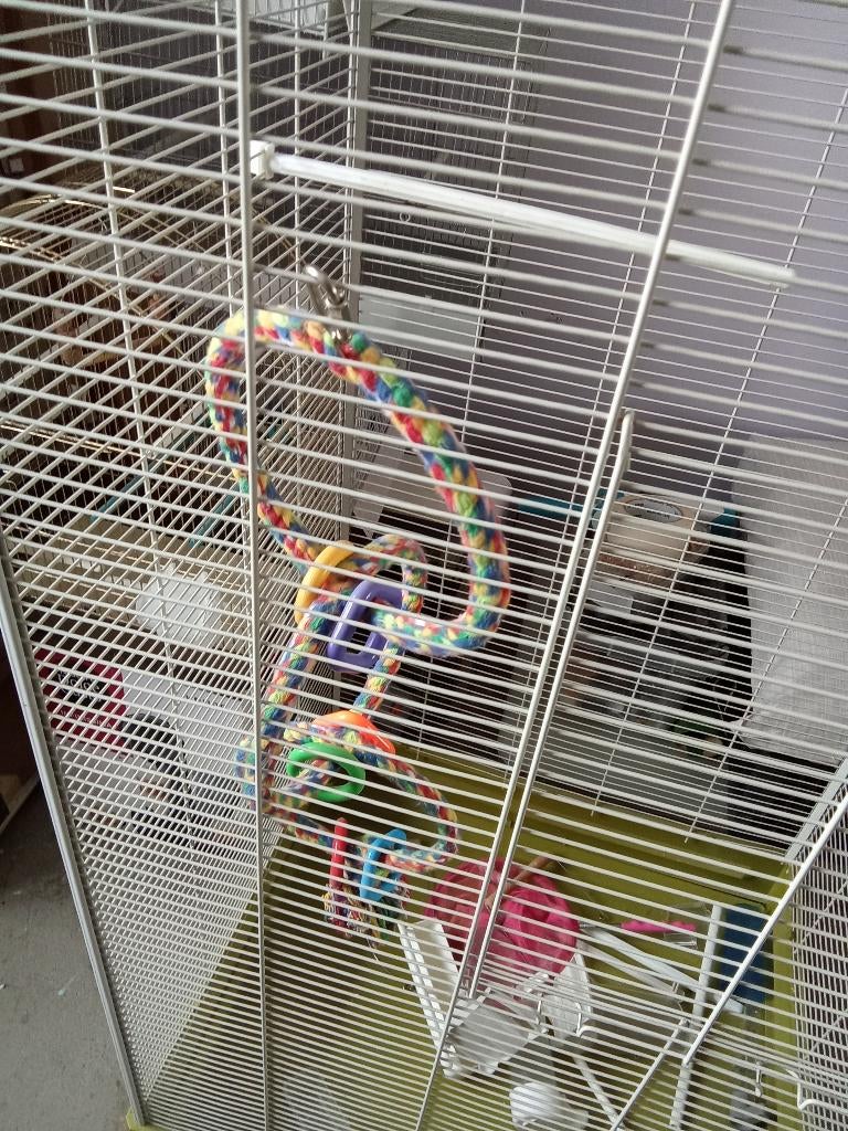 Volière+diverse petite cage, Animaux & Accessoires, Enlèvement, Comme neuf