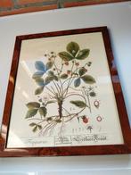 kader met print, Ophalen, Zo goed als nieuw, Print