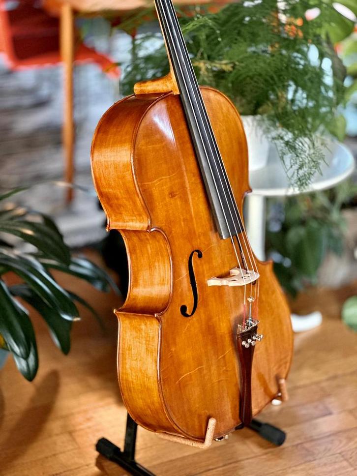 Magnifique violoncelle 4/4 - Haselfichte, Musique & Instruments, Instruments à cordes frottées | Violoncelles, Comme neuf, Violoncelle 4/4