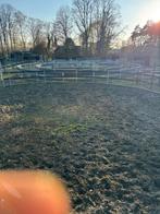 Te koop: Stapmolen + longeercirkel (complete set), Pâturage, 4 chevaux ou poneys ou plus