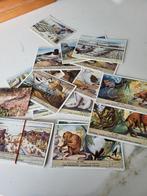 Verzameling oude kaarten Liebig, Verzamelen, Ophalen