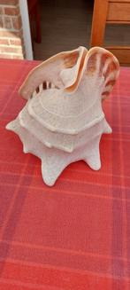 Helmschelp, Huis en Inrichting, Woonaccessoires | Overige, Ophalen