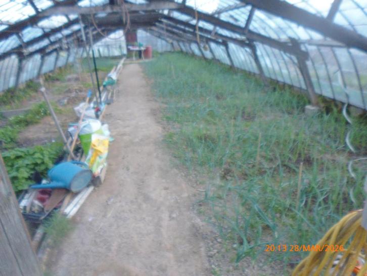 Location serre pour plantation DIVERSES tomates, aubergines, Articles professionnels, Agriculture | Pommes de terre, Légumes, Fruits & Viande