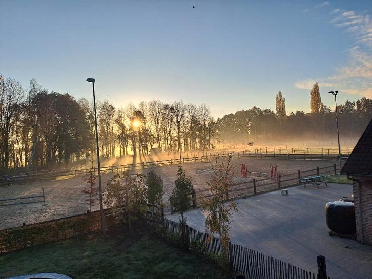 1 stal vrij (Turnhout), Animaux & Accessoires, Box & Pâturages, Mise à l'étable