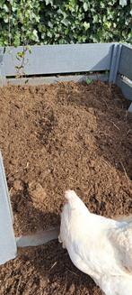 Gratis paarden mest, Enlèvement, Fumier