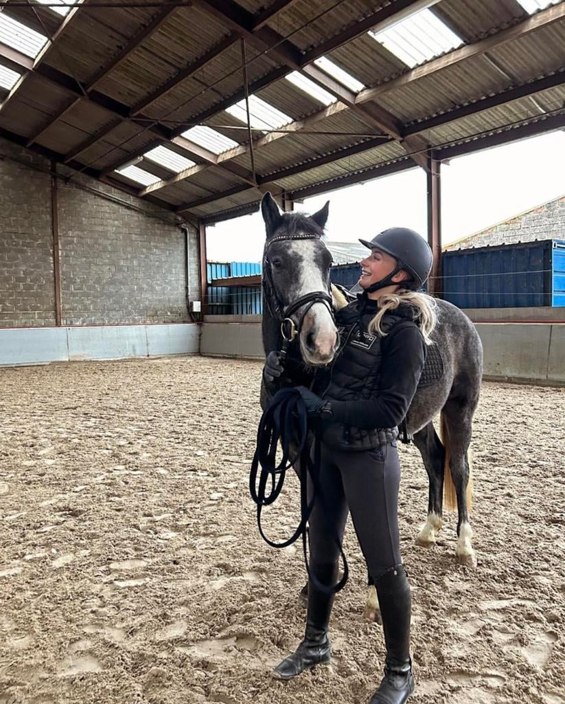 lieve 3-jarige ruin pony – echte knuffelaar, Animaux & Accessoires, Poneys